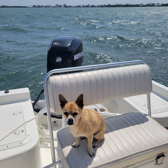 All reasonable offers considered. - Picture 3 of 6